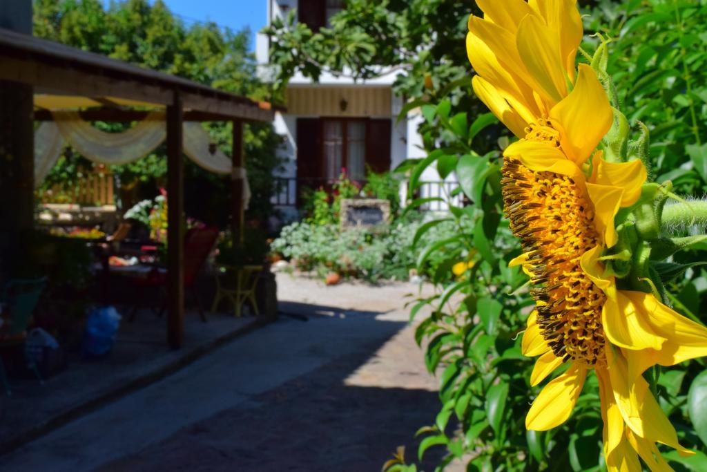 Zaira Studios Skala Eresou Bagian luar foto