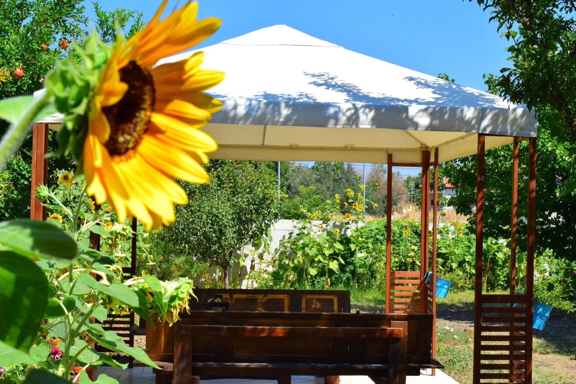 Zaira Studios Skala Eresou Bagian luar foto
