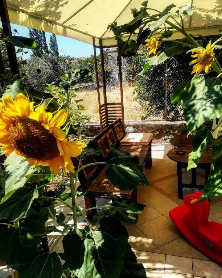Zaira Studios Skala Eresou Bagian luar foto